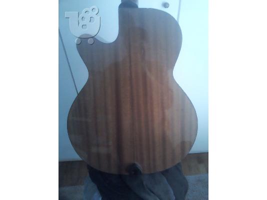 κιθαρα takamine 9 μηνων